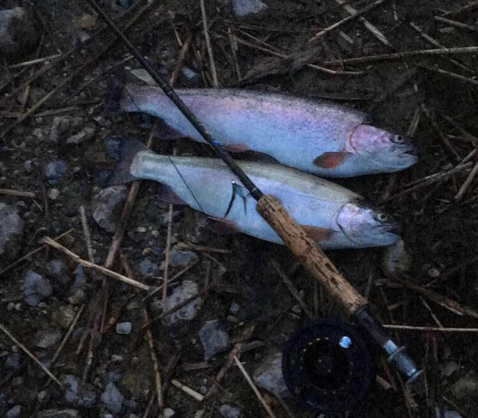 Solbjerggaard Ørredfiskeri 2019 fangst Lucas Wiingaard og Andreas Sørensen